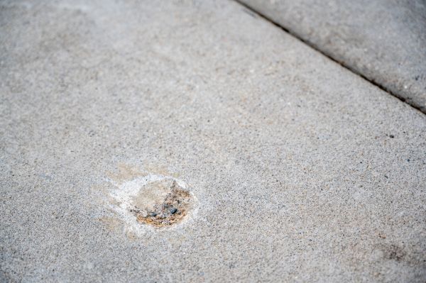 Cost of Pathway Raising in Gainesville